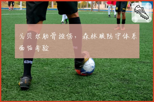 戈贝尔肋骨挫伤,森林狼防守体系面临考验