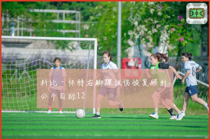 科比·怀特右脚踝扭伤恢复顺利，公牛目标12