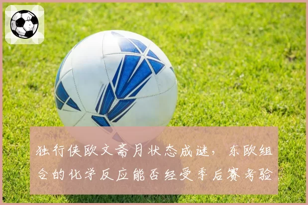 独行侠欧文斋月状态成谜，东欧组合的化学反应能否经受季后赛考验？