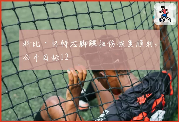 科比·怀特右脚踝扭伤恢复顺利,公牛目标12