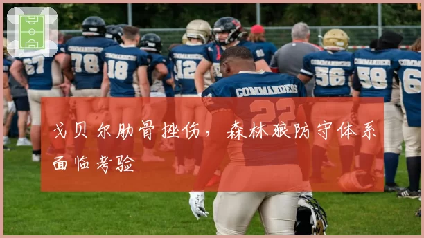 戈贝尔肋骨挫伤,森林狼防守体系面临考验